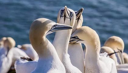 开云体育vip-自由泳配速策略数据分析报告，自由泳速度记录