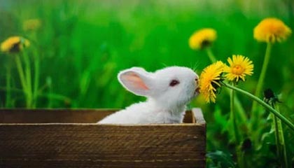 开云体育vip-自由泳配速策略数据分析报告，自由泳速度记录