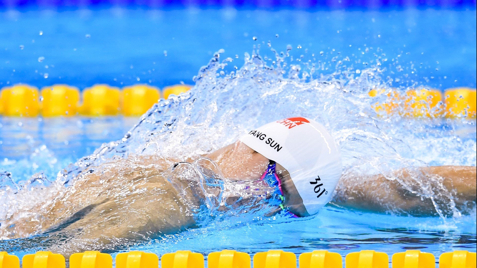 体育院校招生政策调整提高专业技能权重，体育招生院校及专业要求